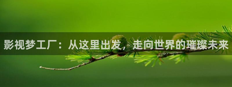 天空的姻缘在线观看：影视梦工厂：从这里出发，走向世界的璀璨未来