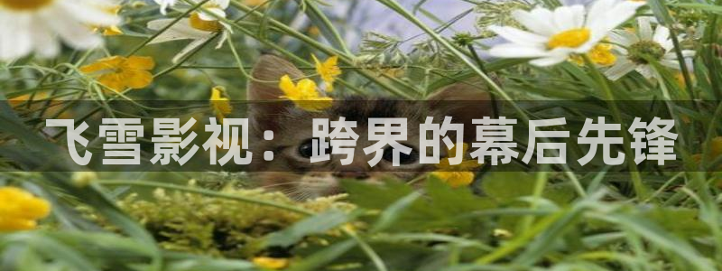 天空云朵视频素材：飞雪影视：跨界的幕后先锋