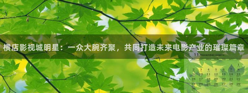 十八岁的天空全部演员：横店影视城明星：一众大腕齐聚，共同打造未来电影产业的璀璨篇章