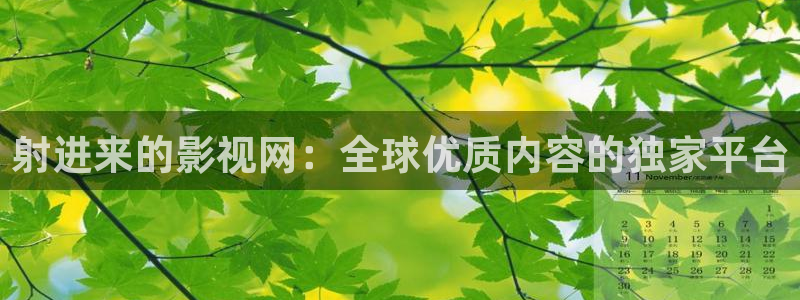 天空背景视频：射进来的影视网：全球优质内容的独家平台