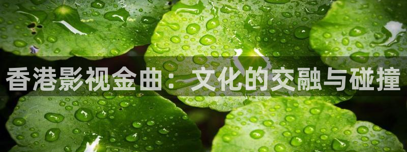 影视天空在线观看免费完整版：香港影视金曲：文化的交融与碰撞