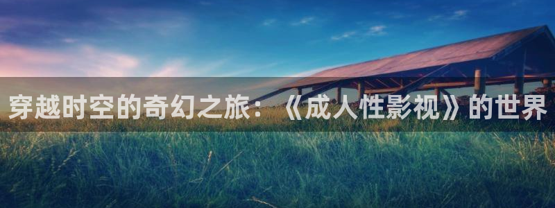 手风琴演奏在巴黎的天空下：穿越时空的奇幻之旅：《成人性影视》的世界