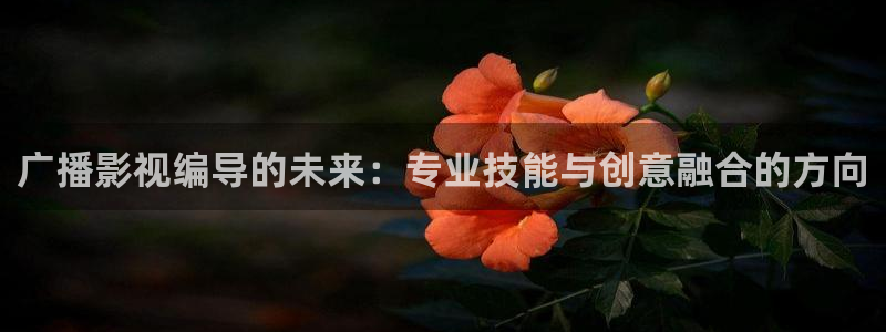 天空的女人电视剧：广播影视编导的未来：专业技能与创意融合的方向