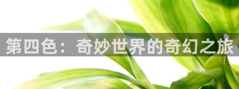 守望的天空在线免费：第四色：奇妙世界的奇幻之旅