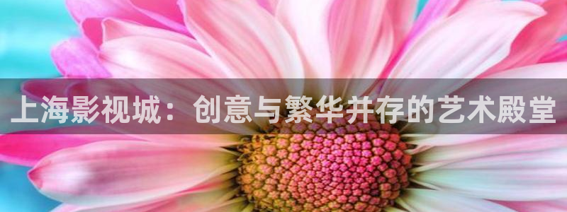 你与天空皆落我心短剧免费完整版：上海影视城：创意与繁华并存的艺术殿堂