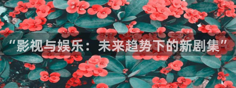 天空会下鱼吗：“影视与娱乐：未来趋势下的新剧集”